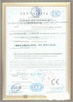 大丰镇手绘地图设计稿示例